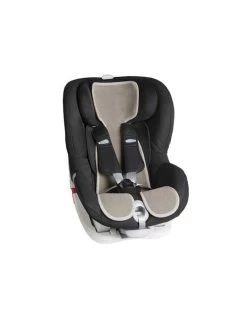 Foderina Segg. Gr.1 Sabbia