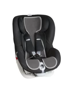 Foderina Segg. Gr.1 Grigia