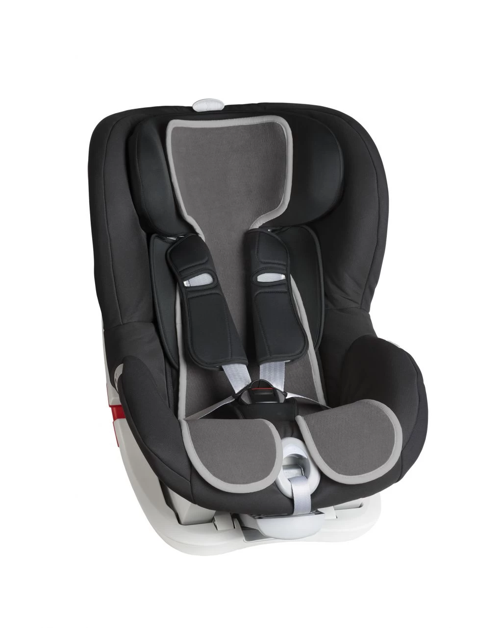 Foderina Segg. Gr.1 Grigia